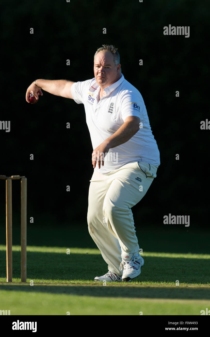 Cricket, Melone in Aktion. Stockfoto