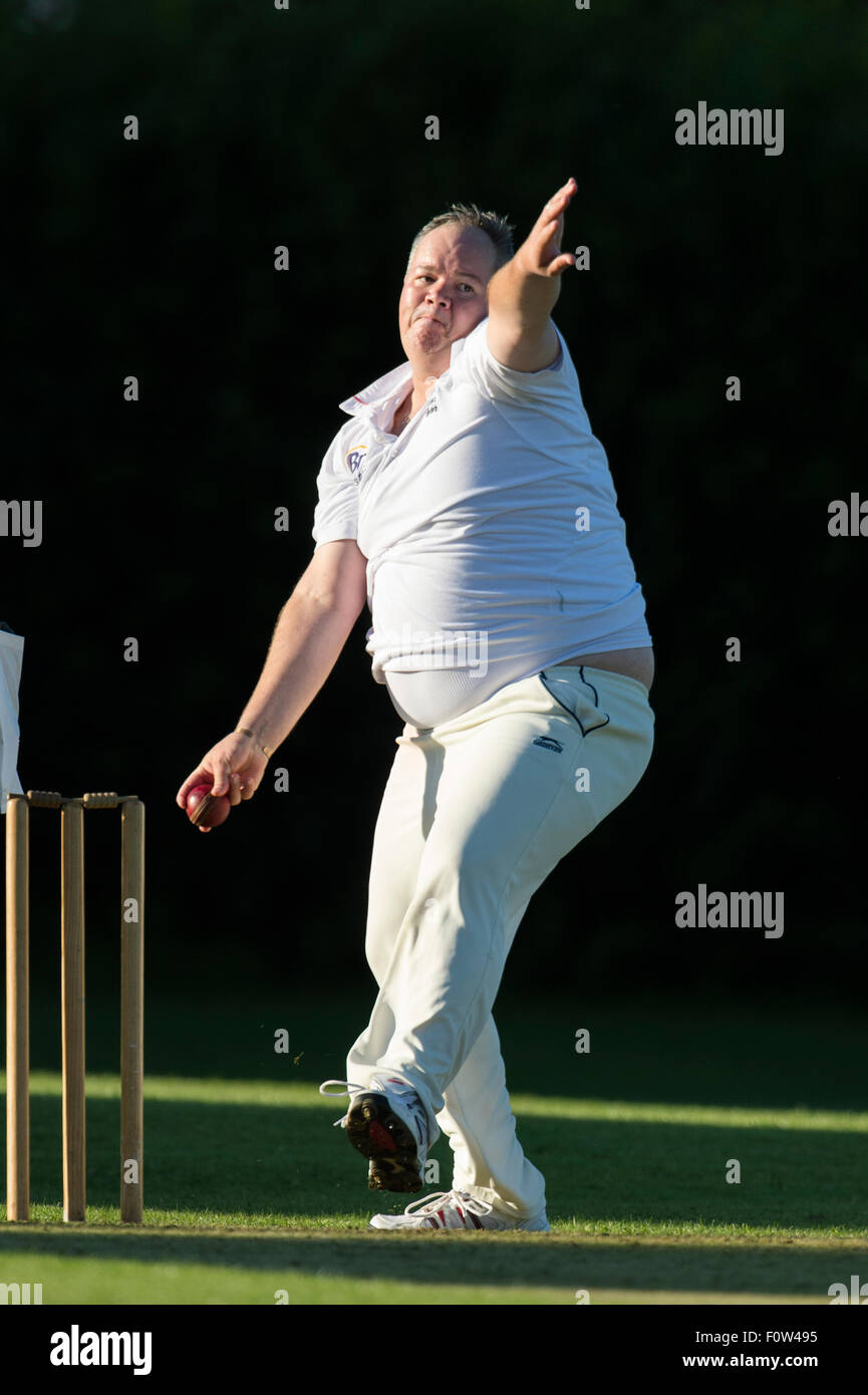 Cricket, Melone in Aktion. Stockfoto