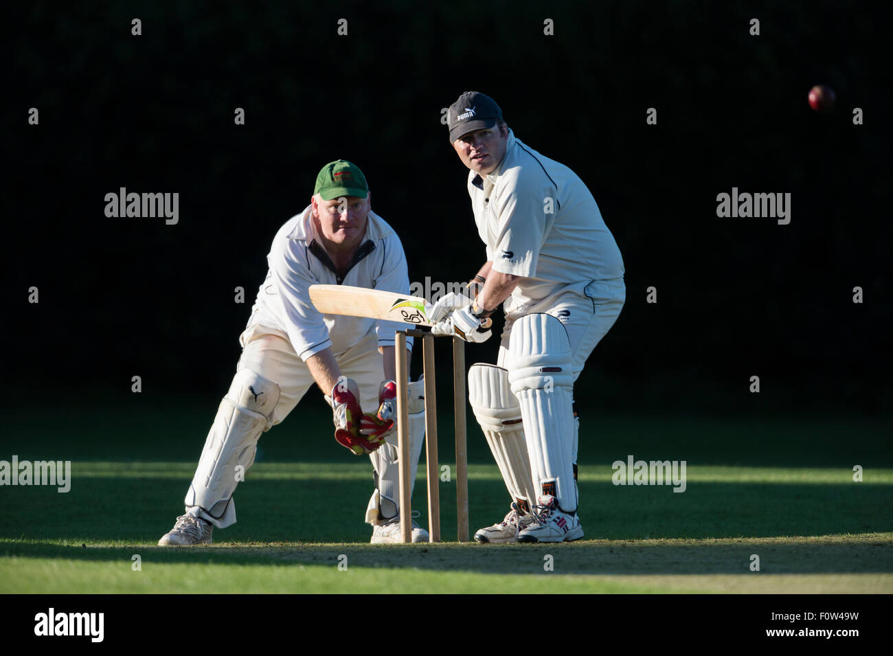 Cricket, Schlagmann in Aktion Stockfoto