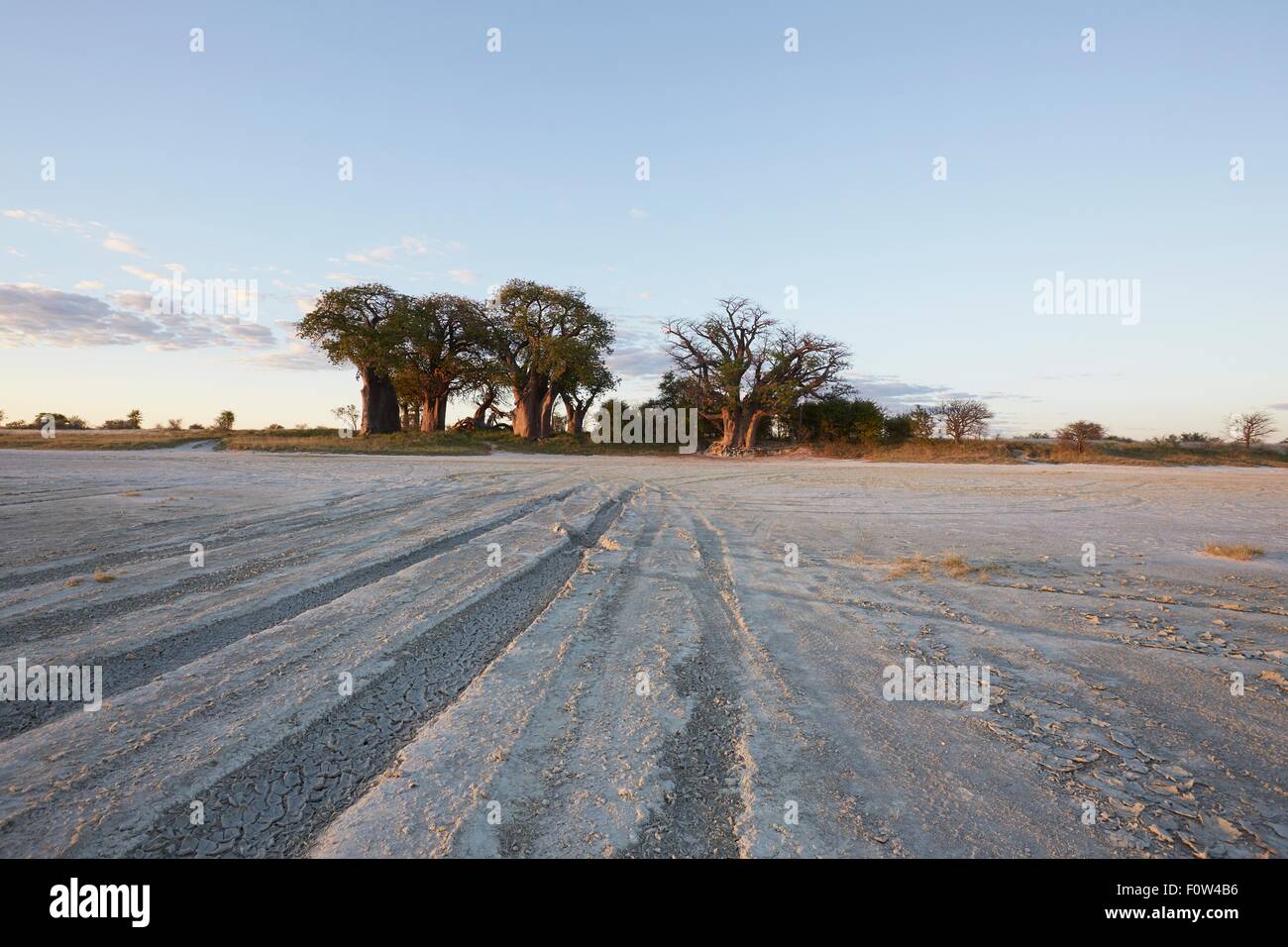 Nxai Pan Nationalpark von Tag, Kalahari-Wüste, Afrika Stockfoto