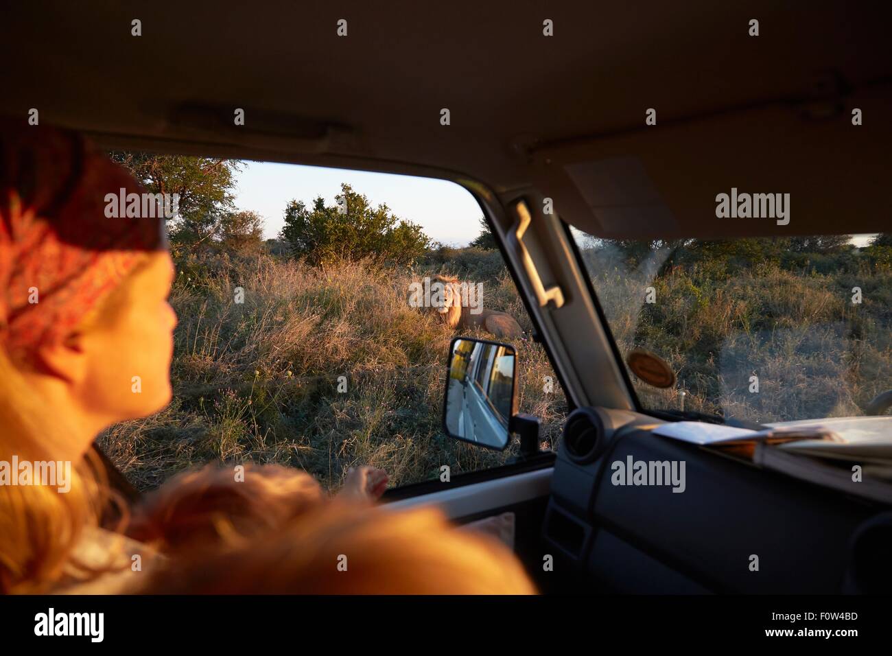 Frau in Fahrzeug, Nxai Pan National Park am Sonnenuntergang, Kalahari-Wüste, Afrika Reisen Stockfoto
