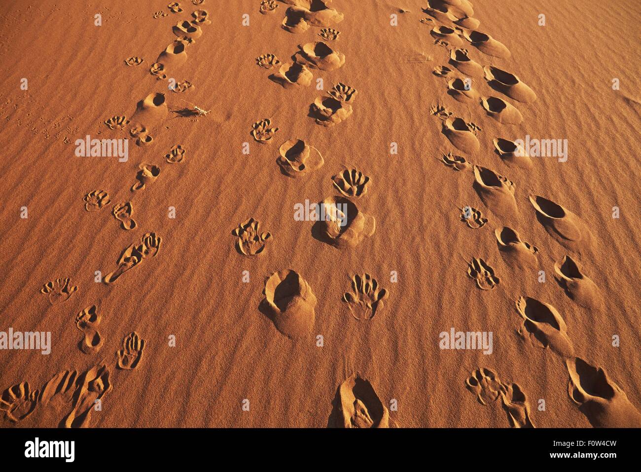 Hand, Fuß und Schuh druckt in Sand, Namib Naukluft National Park, Namib Wüste, Sossusvlei, Dead Vlei, Afrika Stockfoto