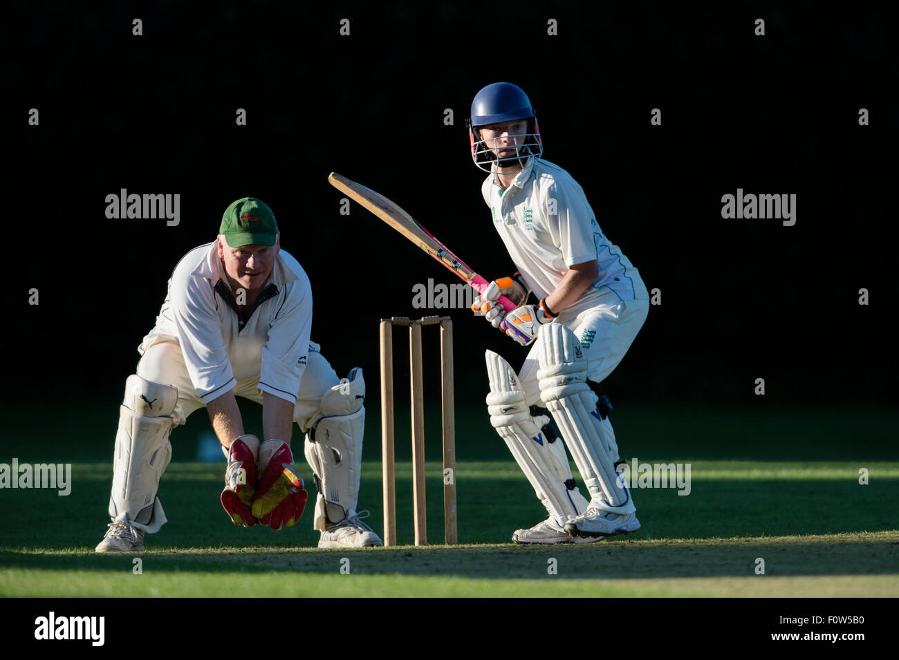 Cricket, Schlagmann in Aktion Stockfoto