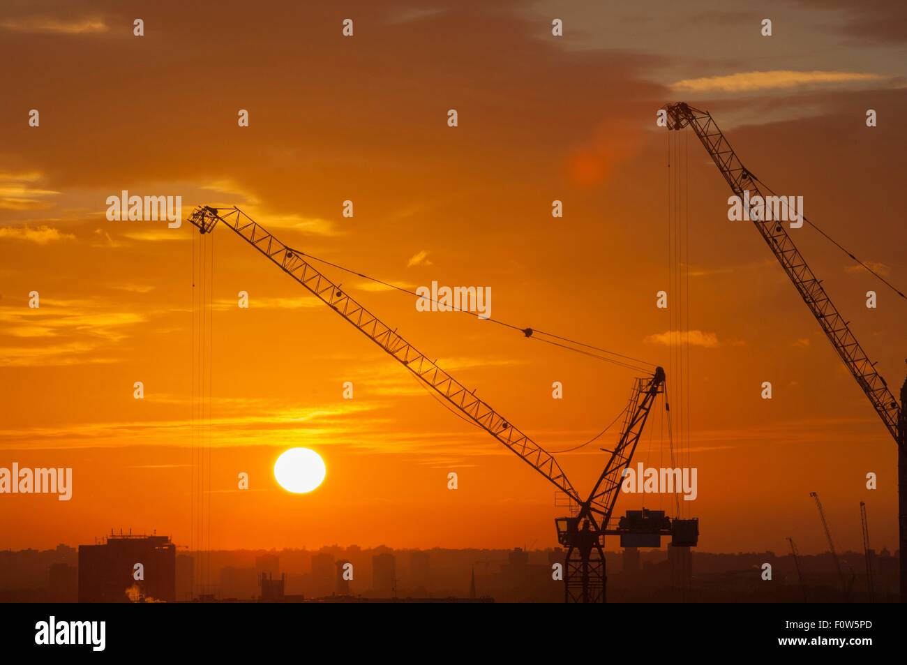 Silhouette Krane und orange leuchtenden Sonnenuntergang Stockfoto