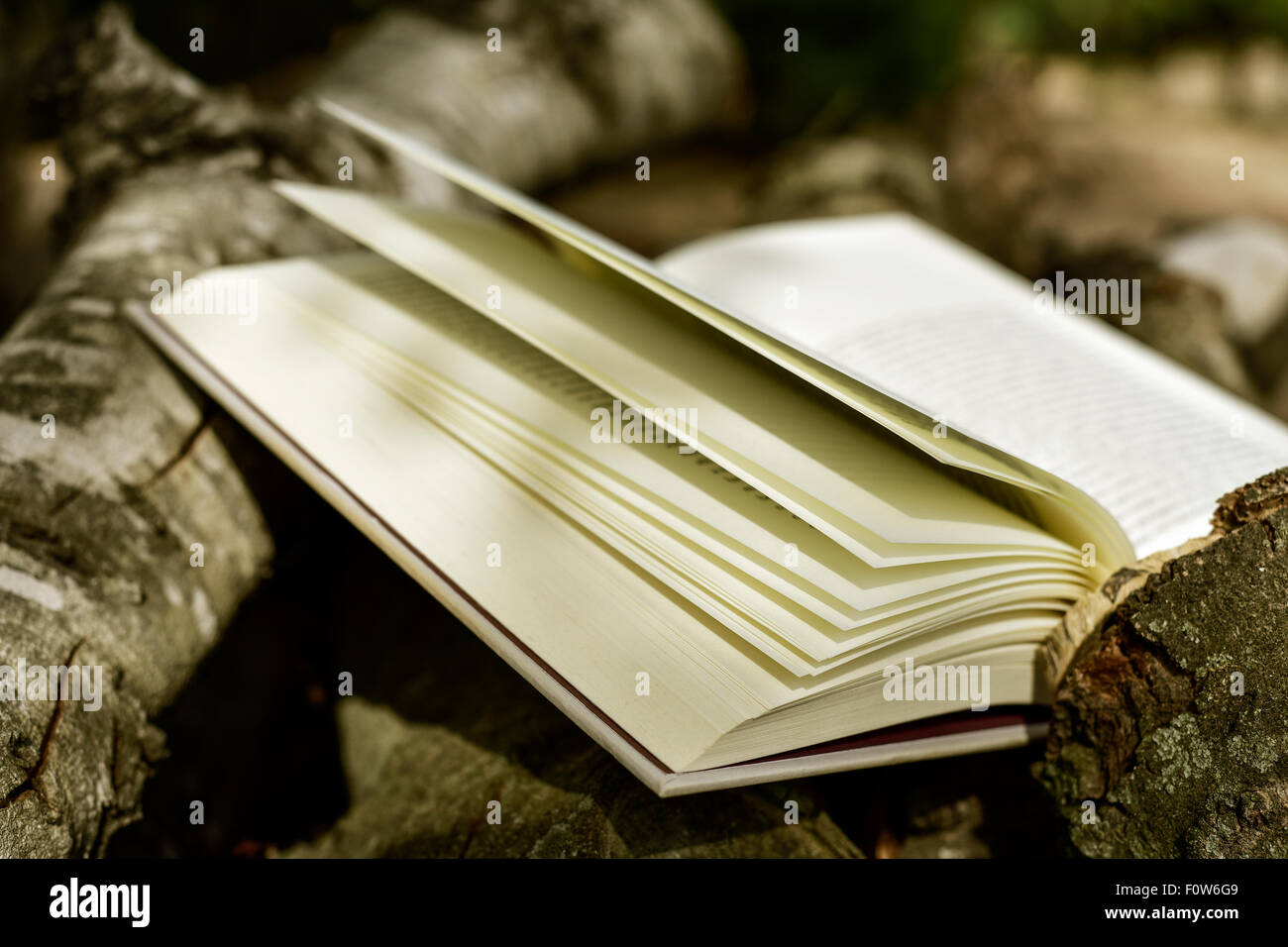 Nahaufnahme eines aufgeschlagenen Buches im Freien in einer rustikalen Landschaft mit einigen Baumstämmen im Hintergrund Stockfoto