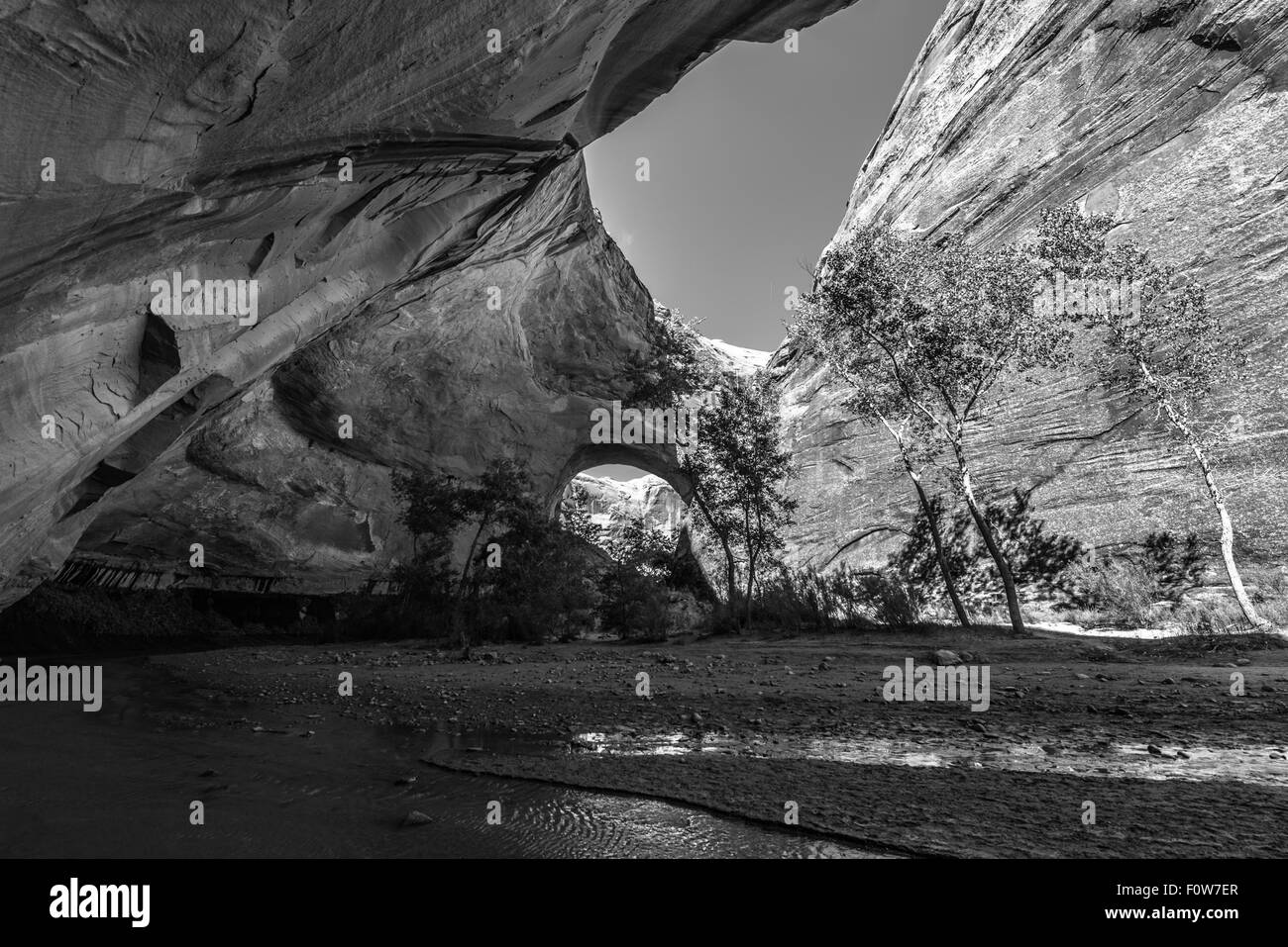 Schöne Jacob Hamblin Arch in Coyote Gulch Grand Staircase Escalante National Monument, schwarz / weiß Fotografie Stockfoto