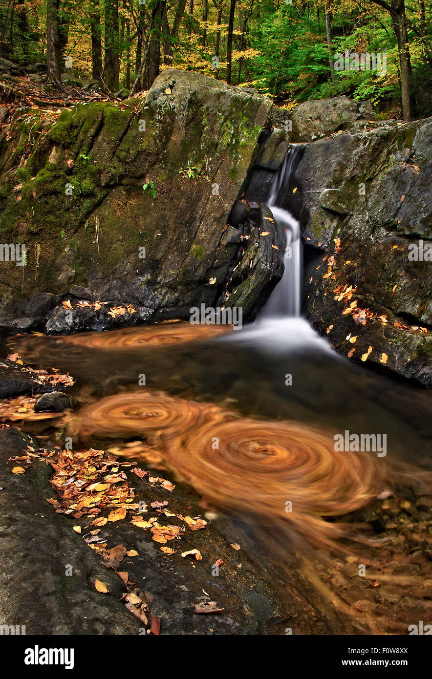 Wasserfall, umgeben von Herbstlaub Stockfoto