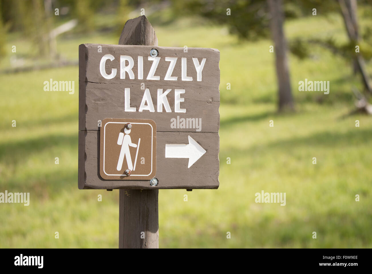 Grizzly Lake Park anmelden. Yellowstone-Nationalpark. Wyoming, USA Stockfoto