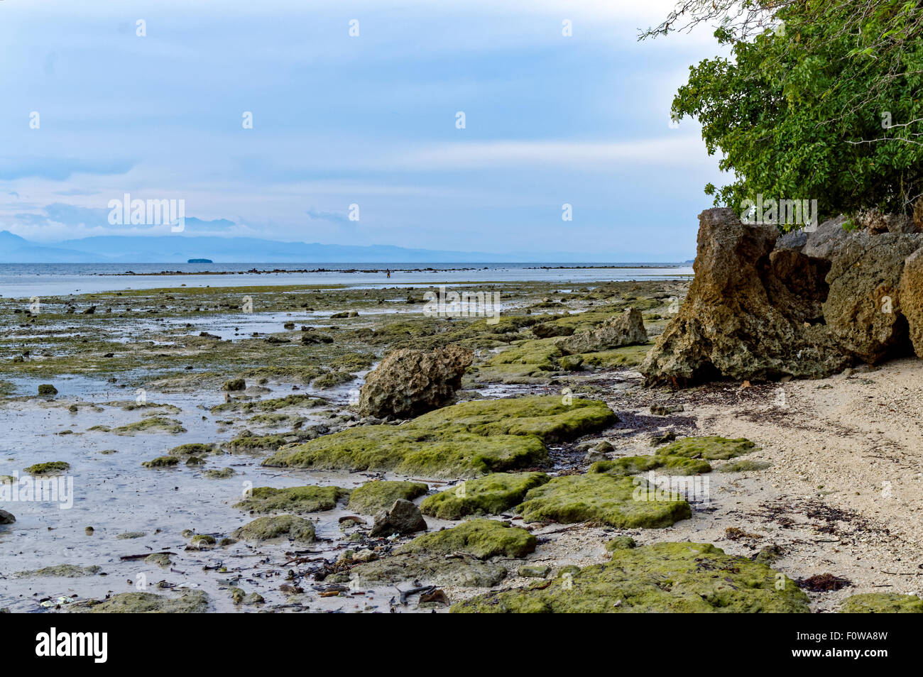 Felsformationen im Meer. Wenn Wasser nach außen zurückgehen, sind Felsformationen sichtbar für jedermann zu sehen Stockfoto