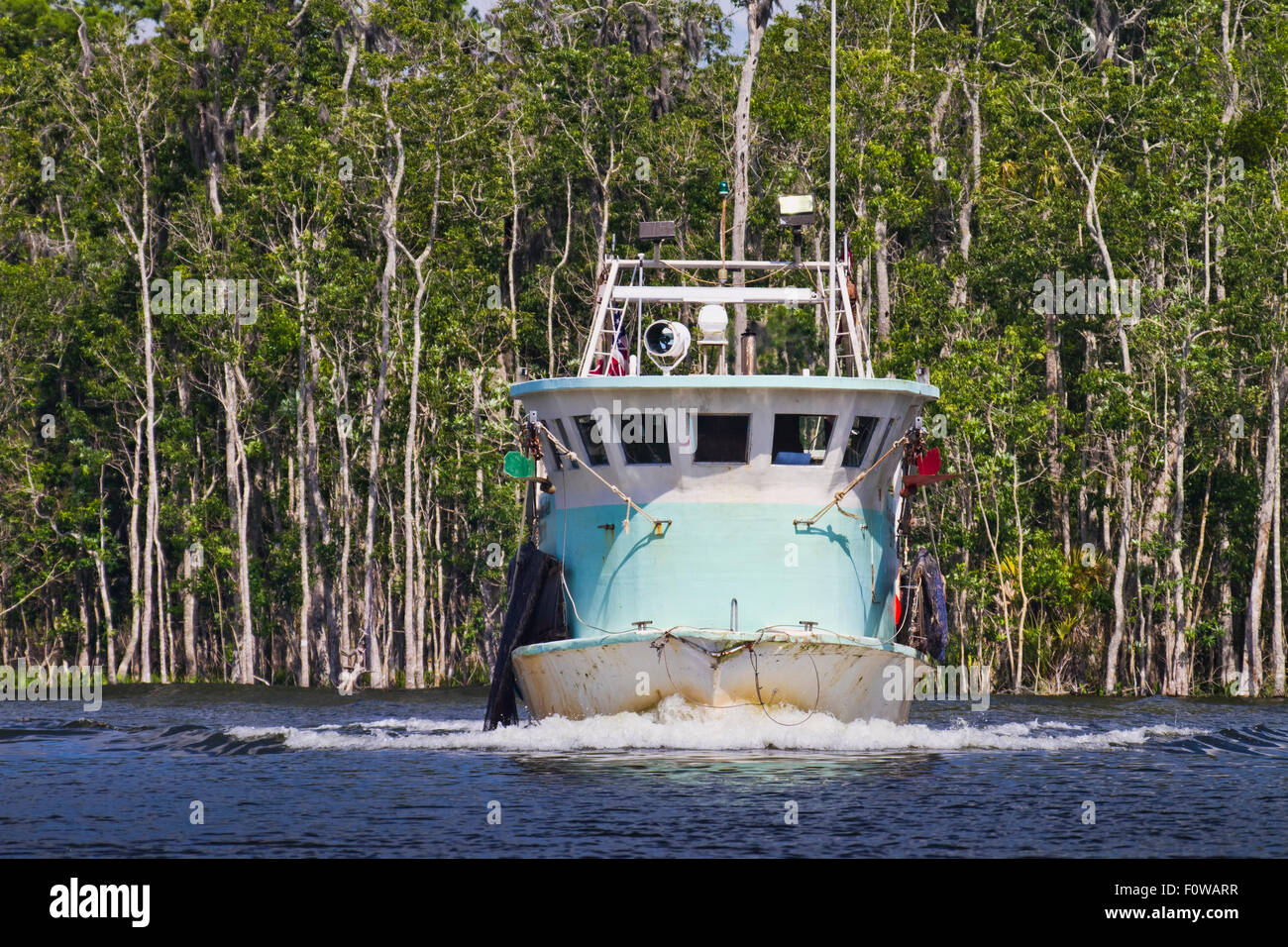 Garnelen Boot Pflügen durch das Wasser in Crystal River Florida in Kings Bay Stockfoto