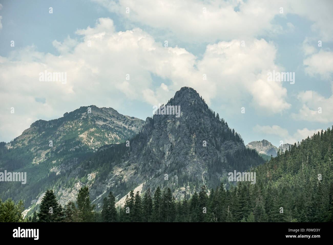Wolkenschatten über felsigen Klippen & bewaldete Hänge, bedeckt mit immergrünen Bäumen Cascade Bergkette geteilt US-Bundesstaat Washington Stockfoto