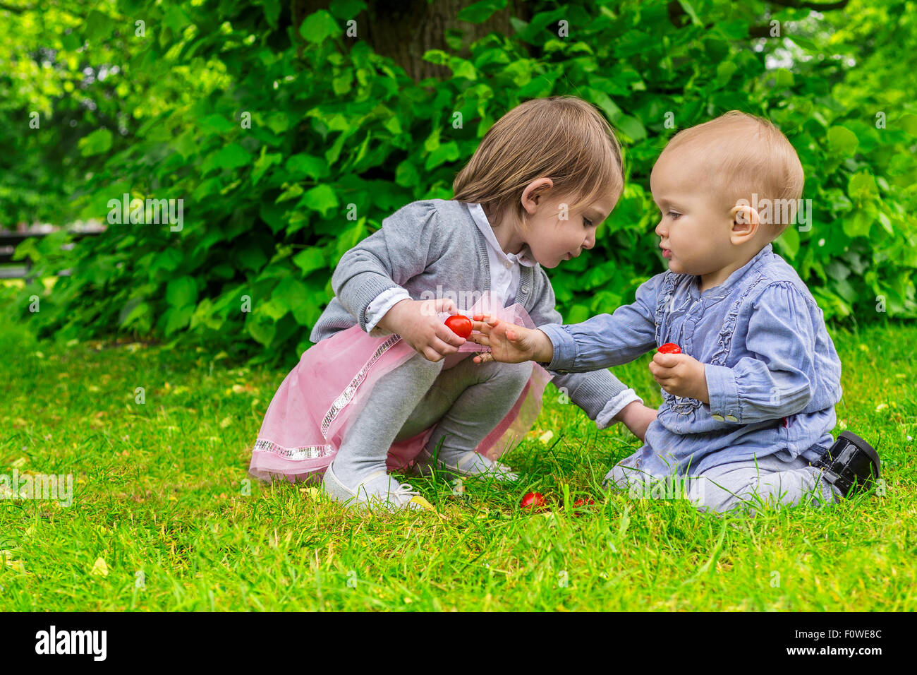 Zwei niedliche Kleinkinder spielen mit Cherry-Tomaten im Garten Stockfoto