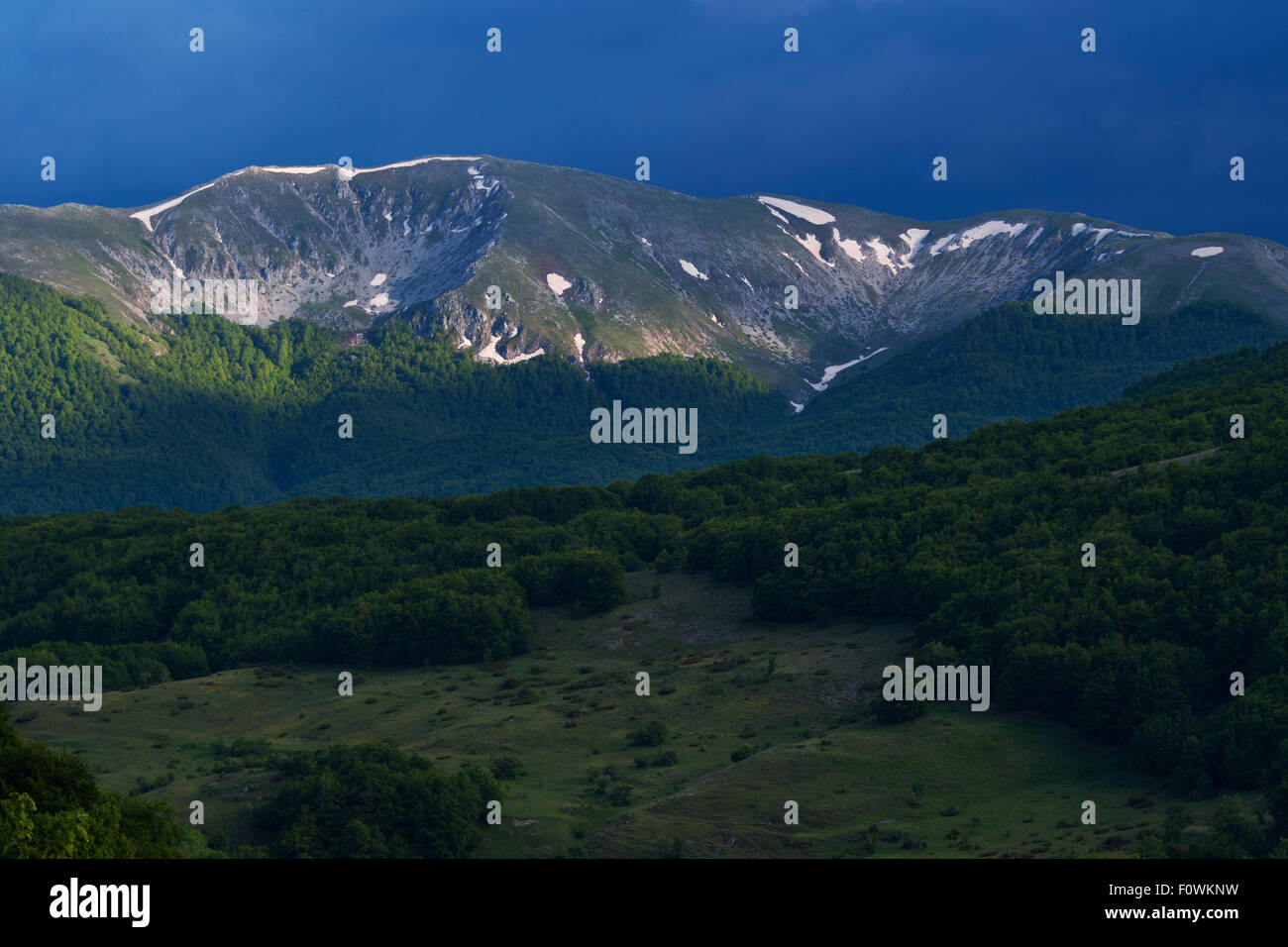 Wald und Berge im Bereich zentralen Apennin Verwilderung Nationalpark Abruzzen, Latium und Molise, Italien, Juni 2014. Stockfoto