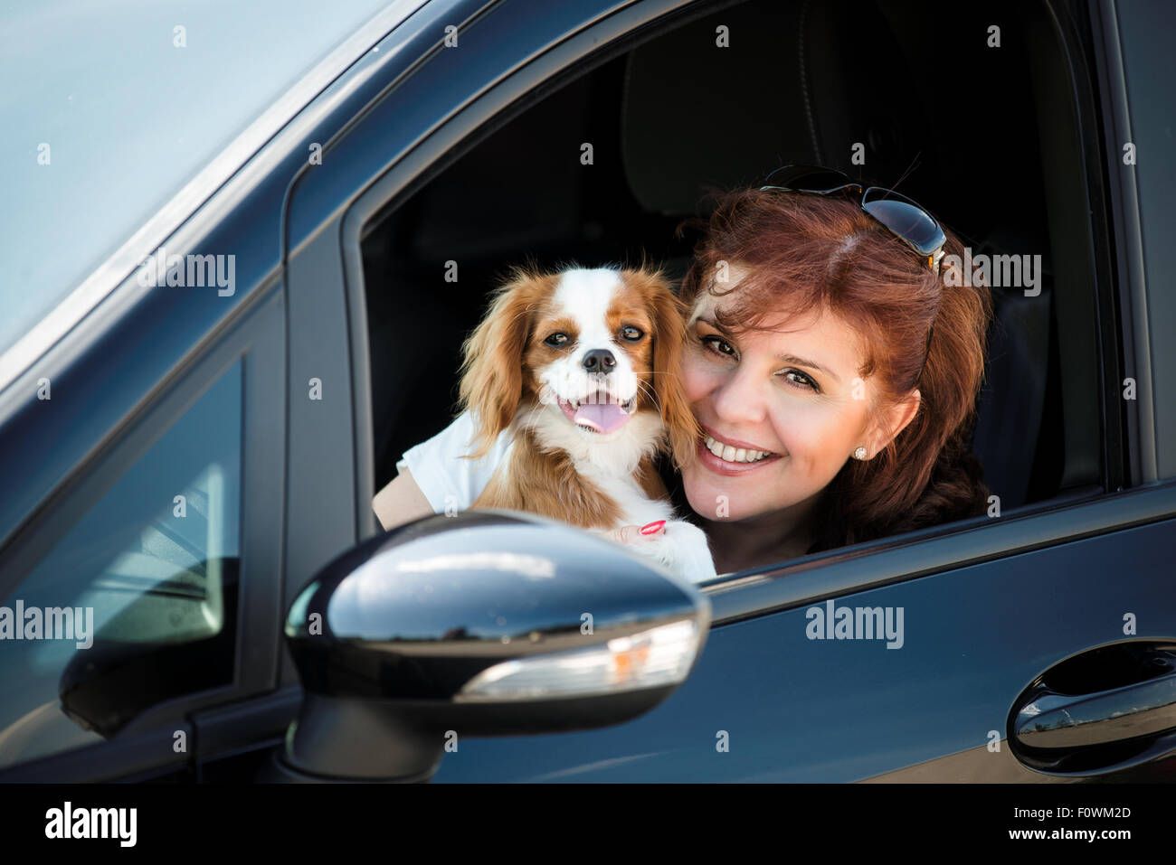 Porträt von Reife Frau mit ihrem cavalier Hund durch Seitenfenster des Autos Stockfoto