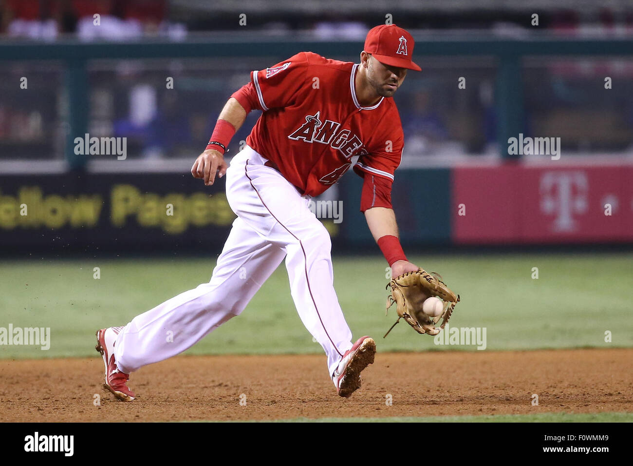 Anaheim, Kalifornien, USA. 21. August 2015. Los Angeles Angels dritte Baseman Kaleb Cowart #41 Felder ein Grounder an Dritte im Spiel zwischen der Toronto Blue Jays und die Los Angeles Angels of Anaheim, Angel Stadium Anaheim, CA, Fotograf: Peter Joneleit/Cal-Sport-Medien-Credit: Cal Sport Media/Alamy Live News Stockfoto