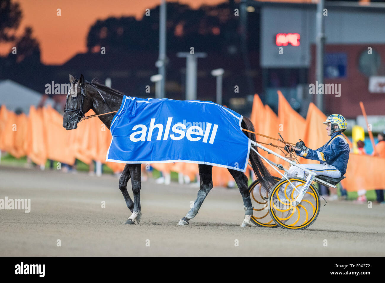 Stefan Melander hinter Nuntius nach siegreichen V75 Rennen #5 beim Pferderennen Solvalla verfolgen am 19. August 2015 Stockfoto