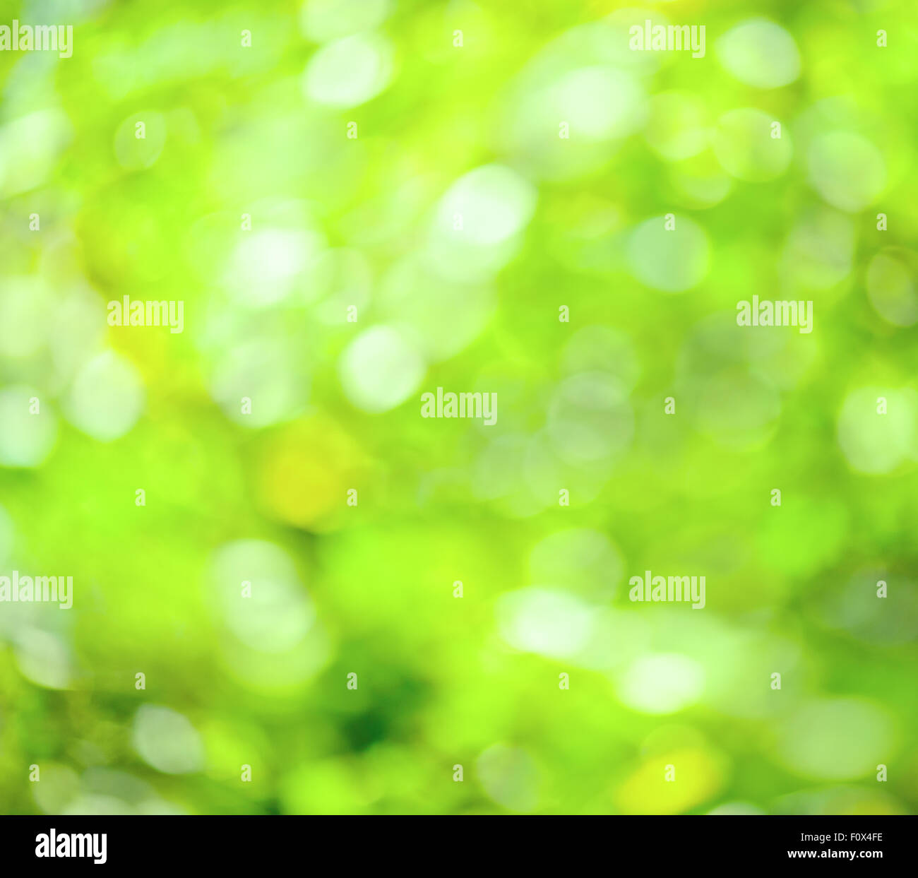 Abstrakte defokussierten Unschärfe grünen Frühling Hintergrund Stockfoto
