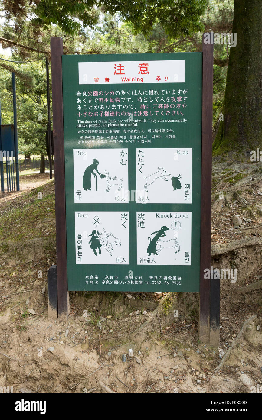 Hirsch-Warnung in Nara-Koen, Präfektur Nara, Japan Region Kansai Stockfoto