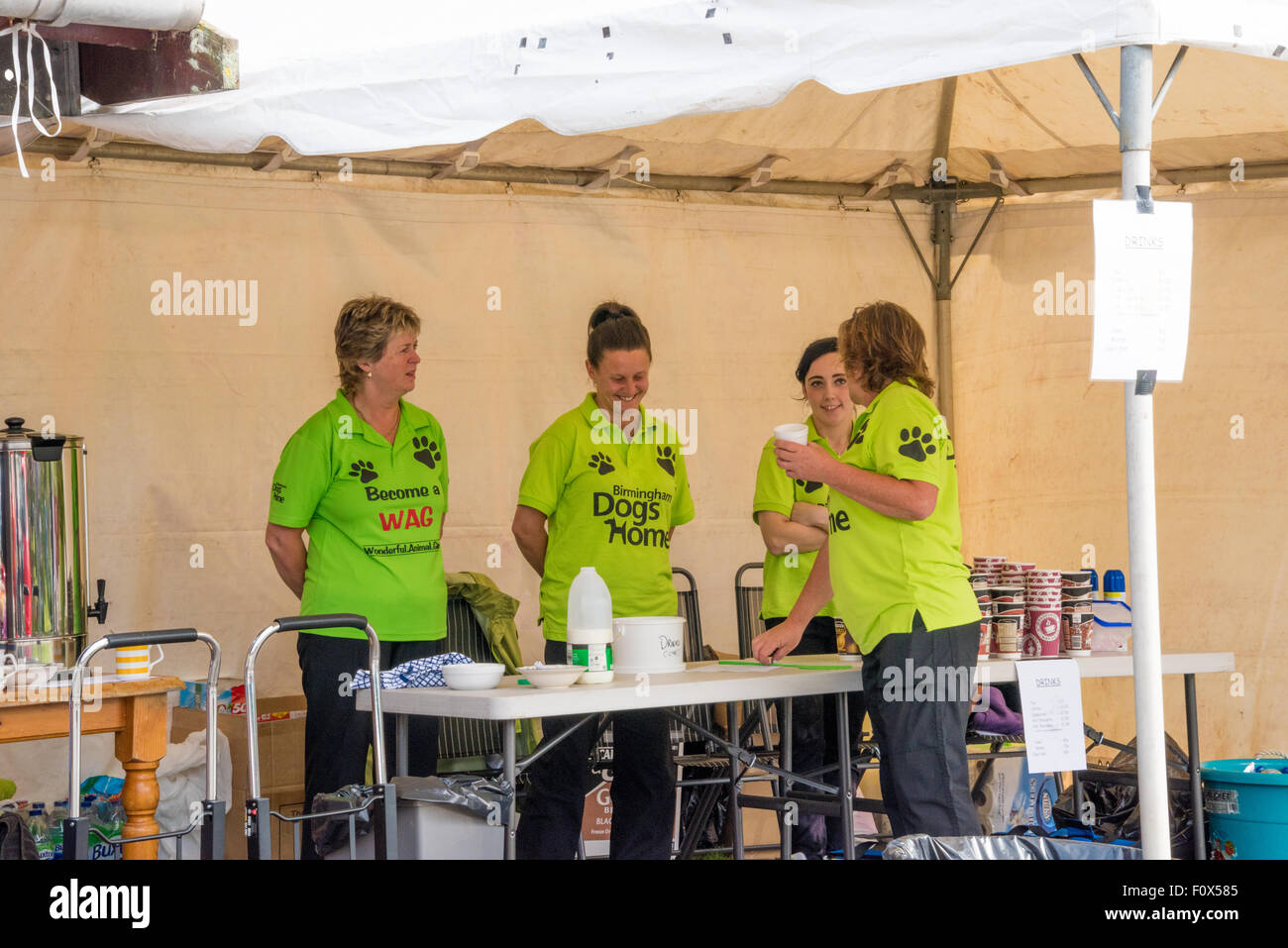 Offenen Sie um bei Sunnyside Zwinger Teil der Birmingham Hunde zuhause Liebe Geld, die nimmt in streunende Hunde für rehoming Tag der Tür Stockfoto