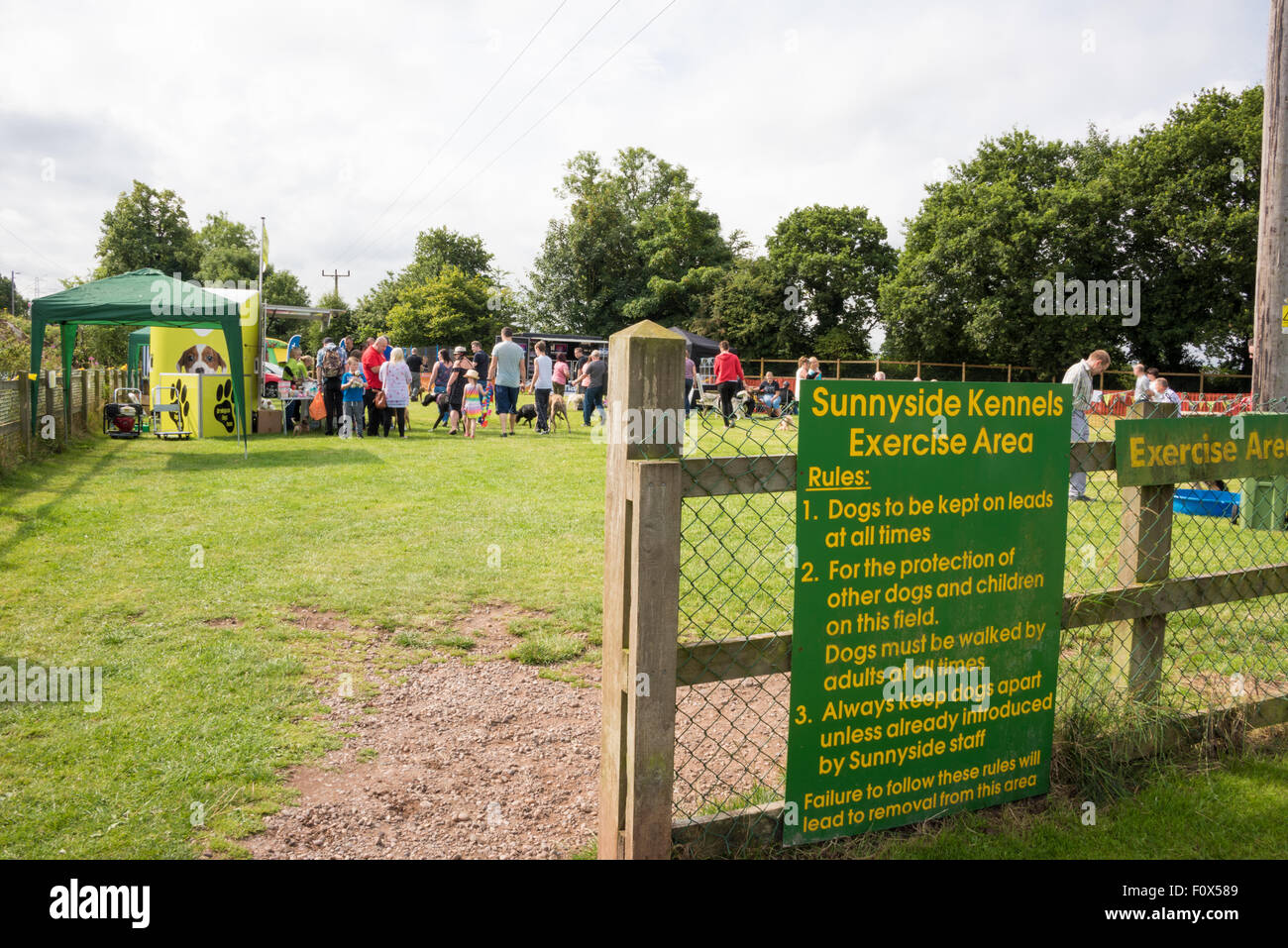 Offenen Sie um bei Sunnyside Zwinger Teil der Birmingham Hunde zuhause Liebe Geld, die nimmt in streunende Hunde für rehoming Tag der Tür Stockfoto