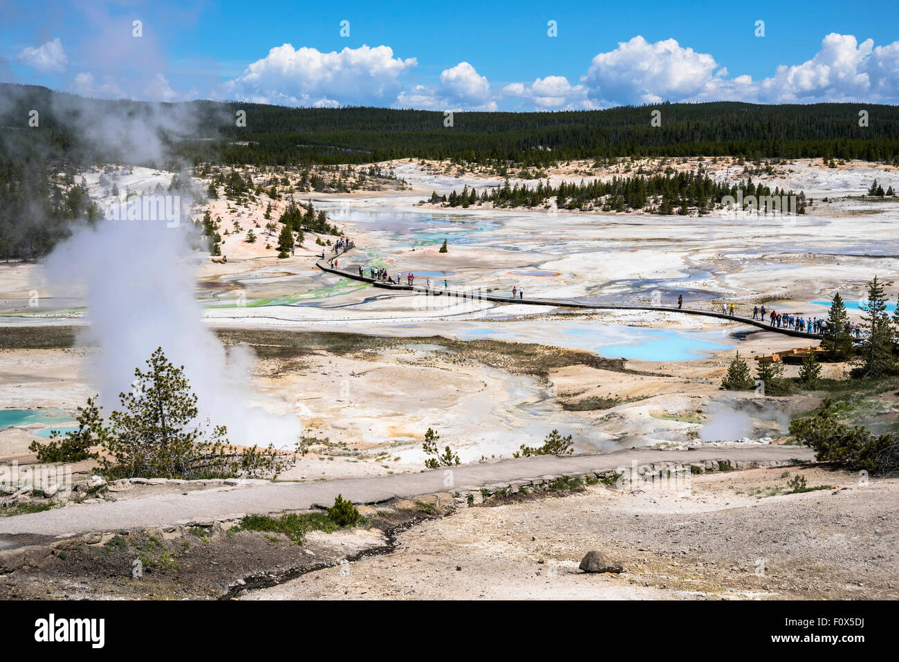 Schöne Ansicht von oben auf Norris Geyser Basin, Yellowstone-Nationalpark, Wyoming, USA Stockfoto