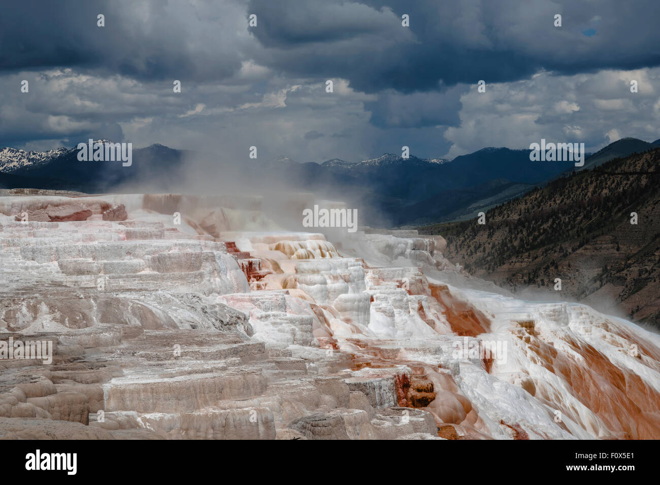 Obere Terrasse bei Mammut Thermalquelle, Yellowstone-Nationalpark, Wyoming, USA Stockfoto