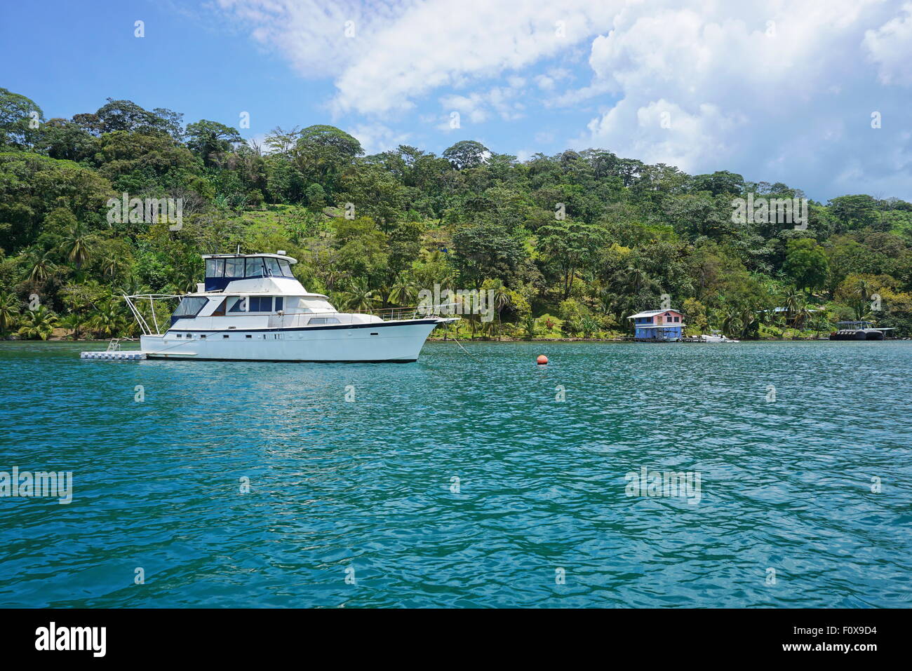Yacht auf Liegeplatz Boje mit üppigen tropischen Küste im Hintergrund, Karibik, Panama, Bocas del Toro, Mittelamerika Stockfoto