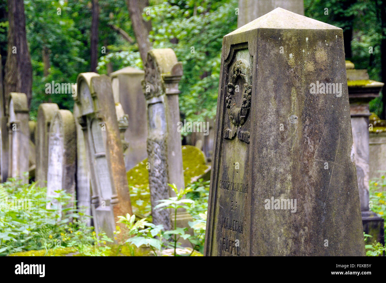 Alte Grabsteine abgedeckt im Grünen am jüdischen Friedhof in Warschau, Polen. Stockfoto