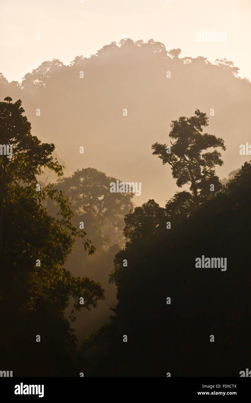 KARSTFORMATIONEN, bedeckt mit tropischem Dschungel umgeben CHEOW EN See im KHAO SOK Nationalpark - THAILAND Stockfoto