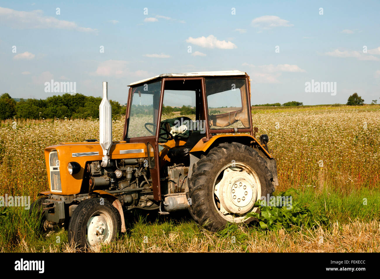 Alten Ursus Traktor Stockfoto