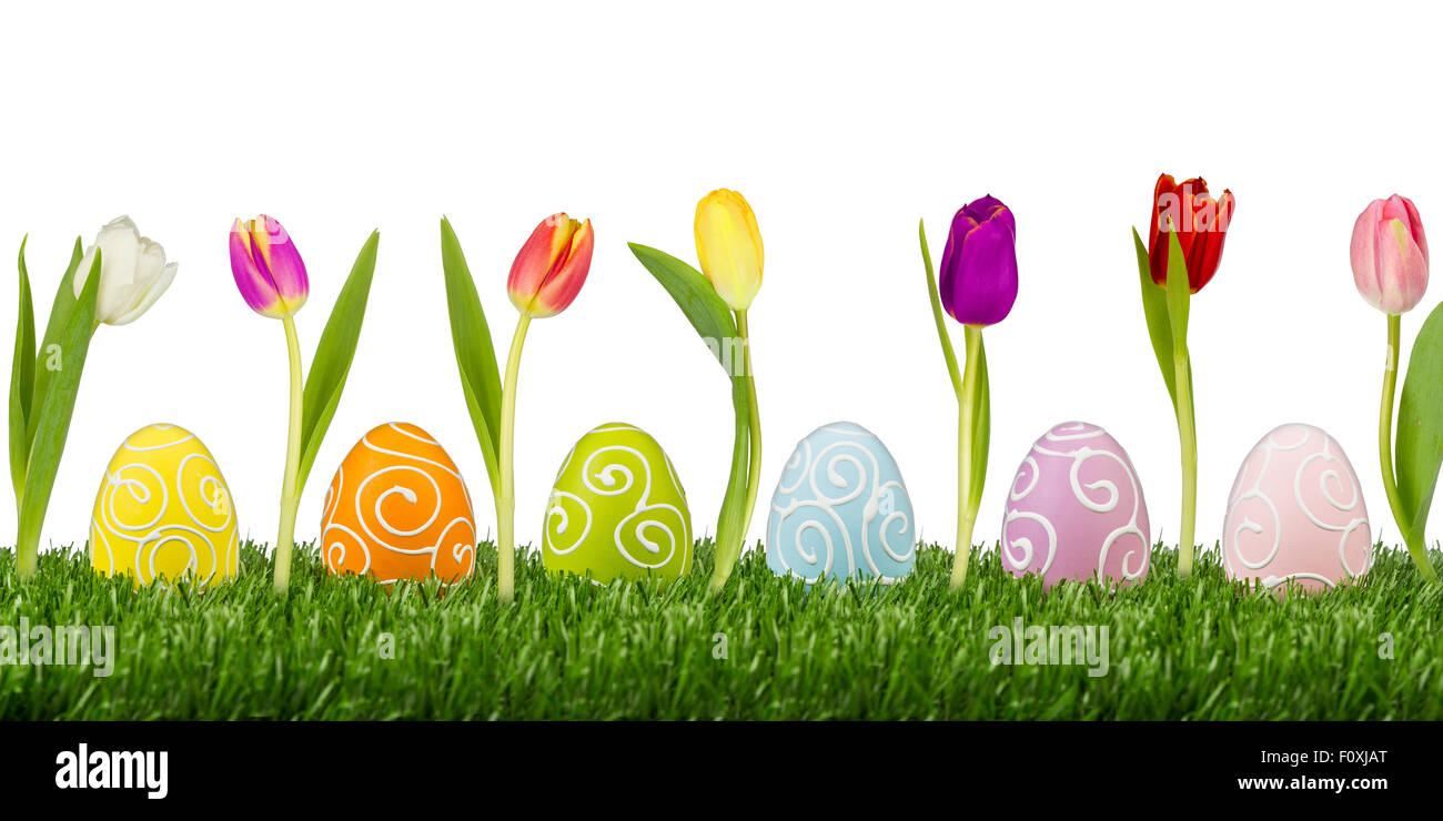 Ostereier mit Tulpen auf weißem Hintergrund Stockfoto