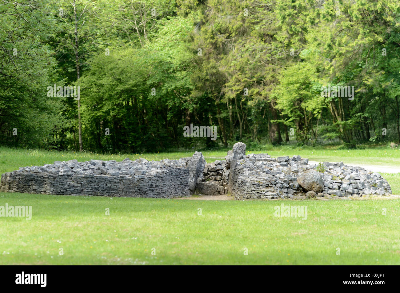 Der Cairn auf Parc Le Breos, Gower ist mehr als 5000 Jahre alt und liegt in einem wunderschönen Tal. Stockfoto