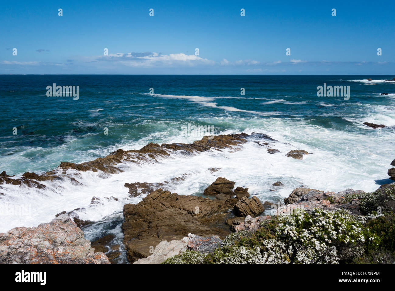 Walker Bay, Hermanus, Südafrika Stockfoto