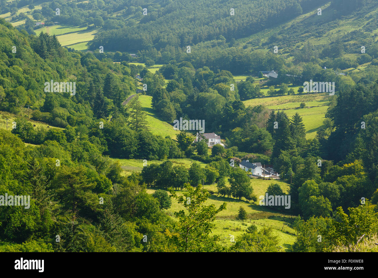 Blick auf Tal. Glenariff Forest Park. Nord-Irland, Großbritannien, Europa Stockfoto