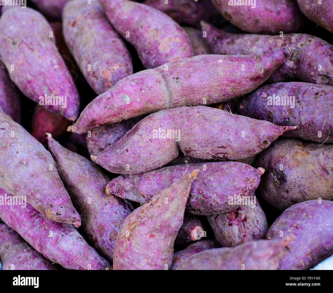 Frische rote Süßkartoffeln Stockfoto