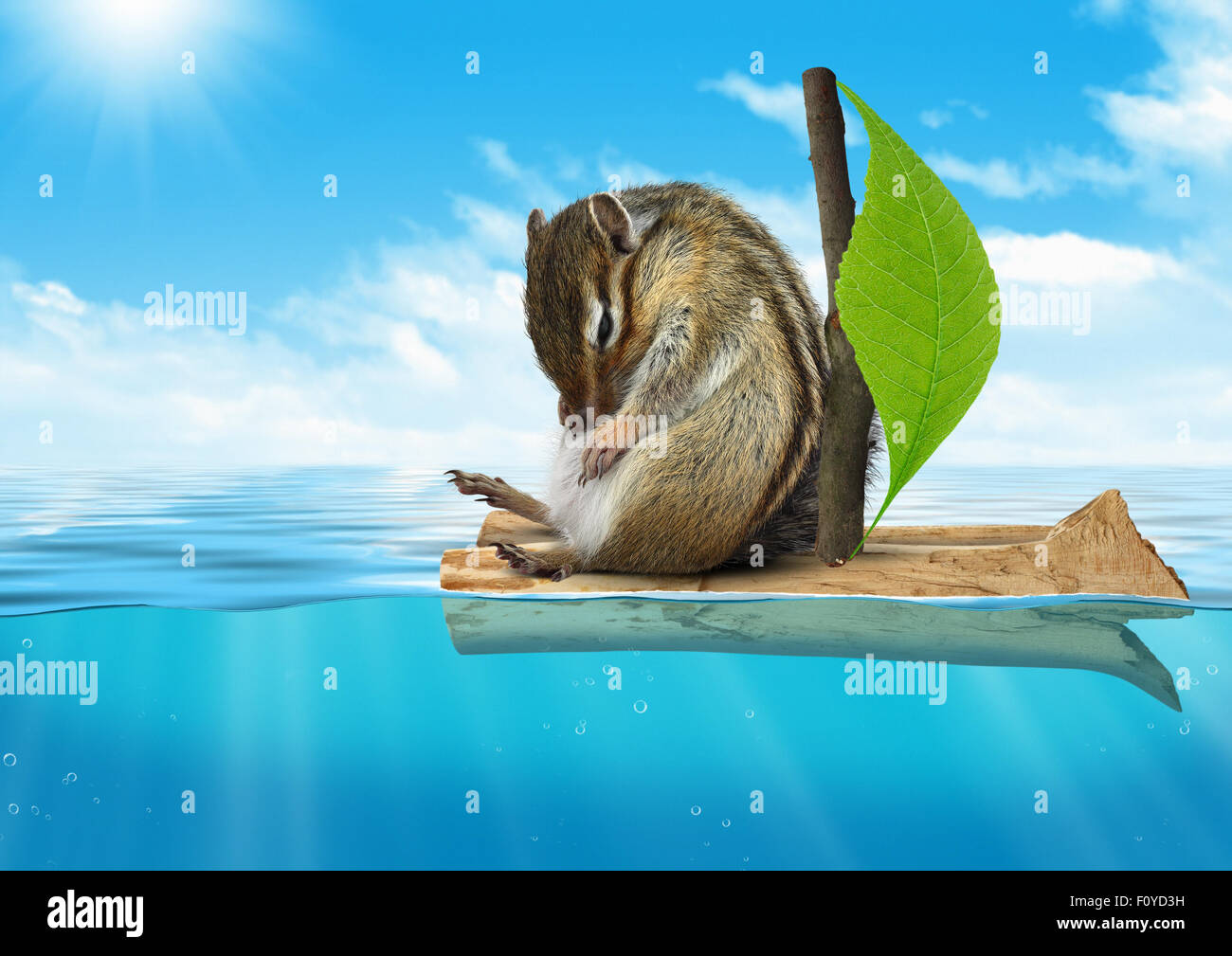 Lustige Tier, Streifenhörnchen, schwebend auf hoher See, Reise-Konzept Stockfoto