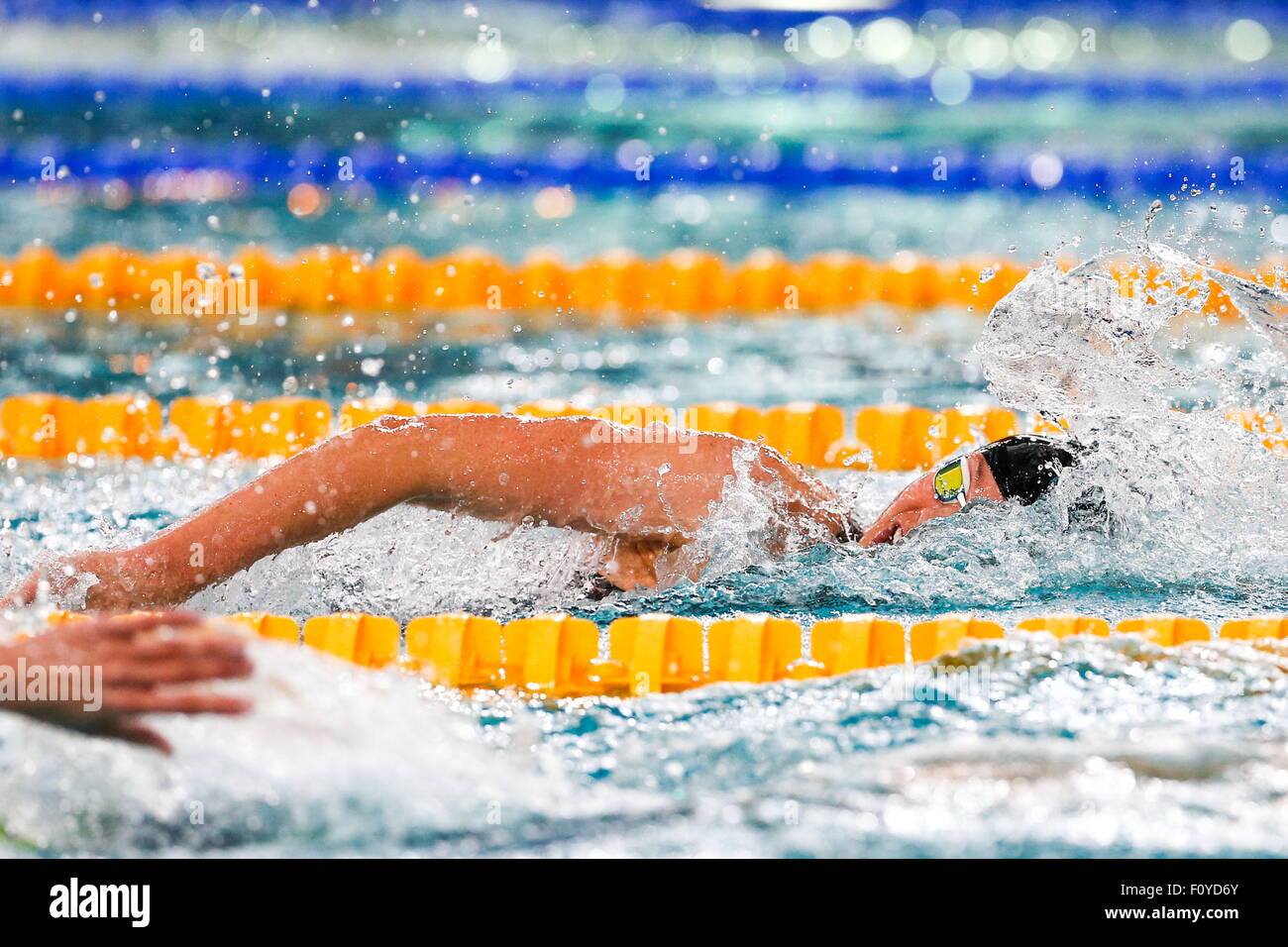 Lauren BOYLE - 800m NL - 15.08.2015 - Etape de Coupe du Monde Natation - Chartres 2015.Photo: Johnny Fidelin/Icon Sport Stockfoto