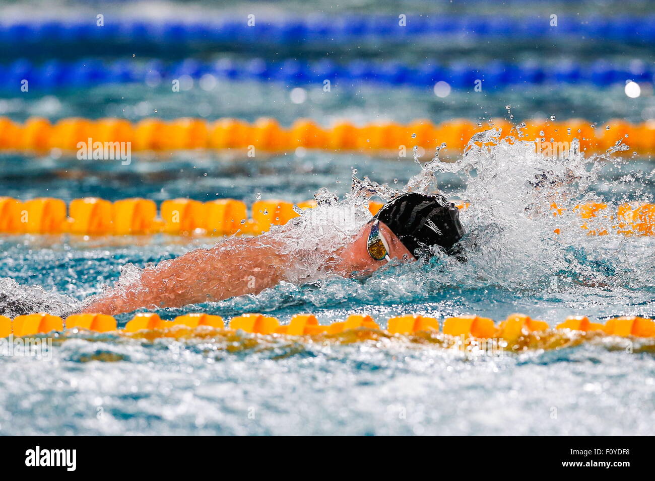 Lauren BOYLE - 800m NL - 15.08.2015 - Etape de Coupe du Monde Natation - Chartres 2015.Photo: Johnny Fidelin/Icon Sport Stockfoto