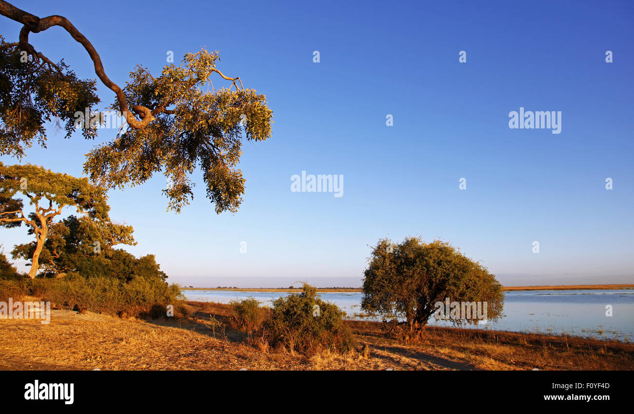 Landschaft im Chobe National Park, Botswana Stockfoto