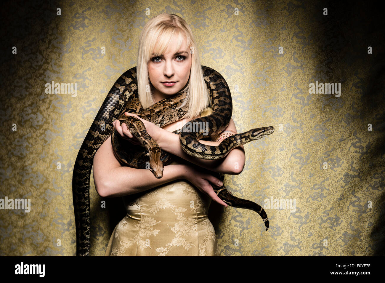 Eine junge blonde behaarte Frau Mädchen weibliche Person posiert mit Python Schlangen drapiert um ihre Schultern, UK (Ophiophobia - die Angst vor Schlangen nicht leiden) Stockfoto