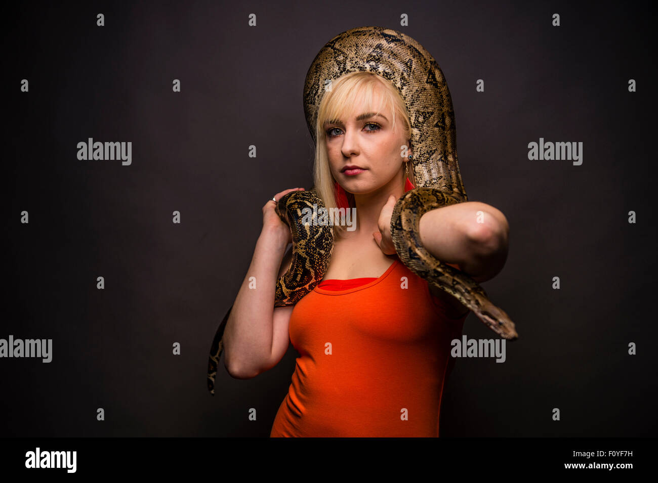 Python schlangenkopf Fotos und Bildmaterial in hoher Auflösung Alamy