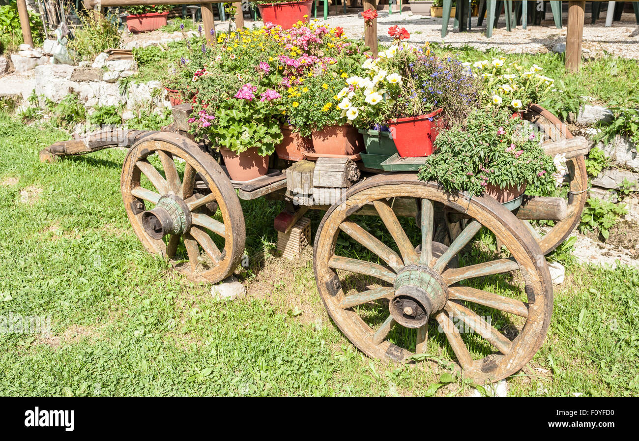 Alten Holzkarren mit Töpfen von blühenden Blumen des Sommers Stockfoto