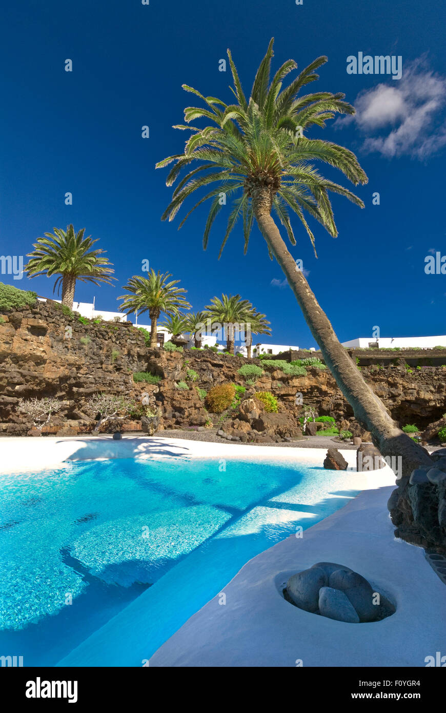 Jameos del Agua auf Lanzarote Pool, Palmen und tropischen Pflanzen Lanzarote Kanarische Inseln Spanien Stockfoto