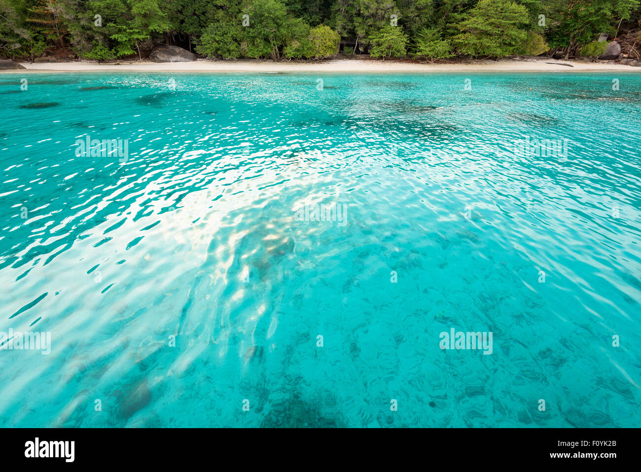 Schöne grüne blaue Meer kleine Strand von Honeymoon Bay ist eine berühmte Attraktionen für Tauchen auf Ko Miang Insel Similan Stockfoto