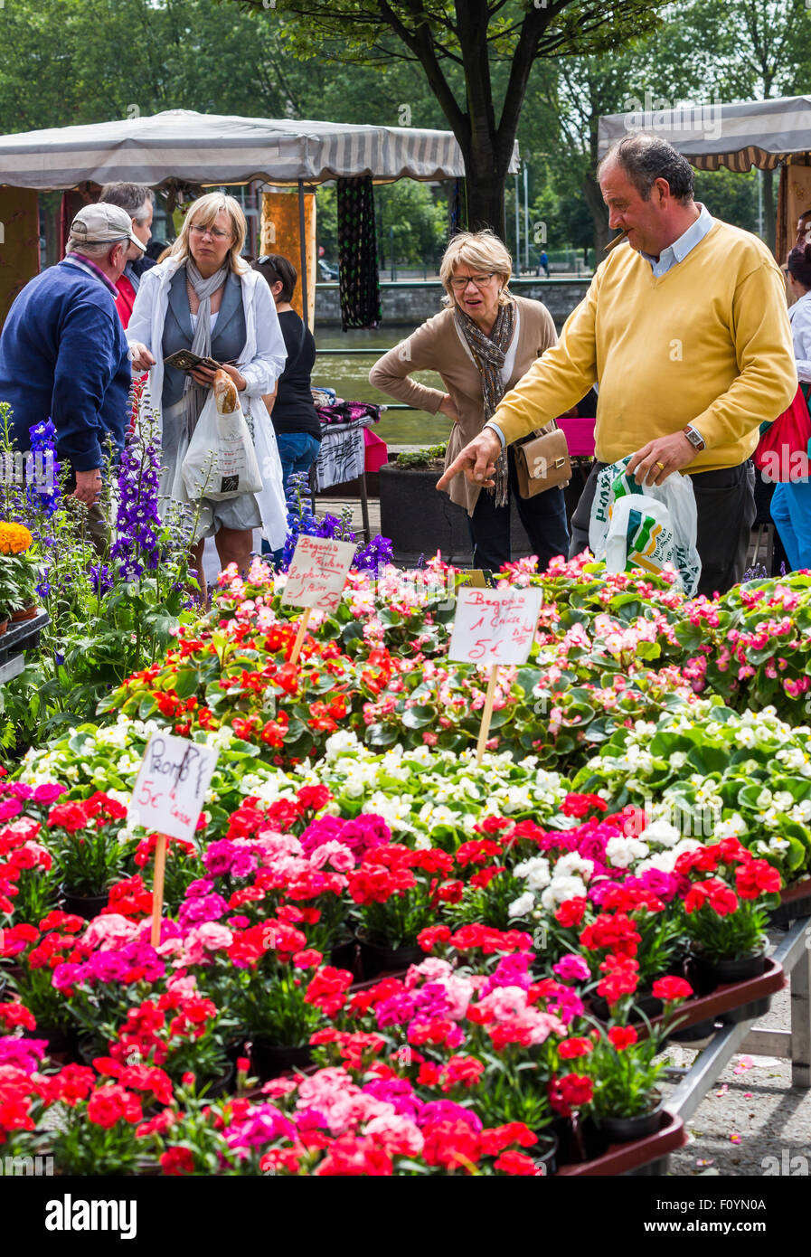 Blume Stände auf dem La Batte Sonntagsmarkt in Lüttich, Belgien Stockfoto