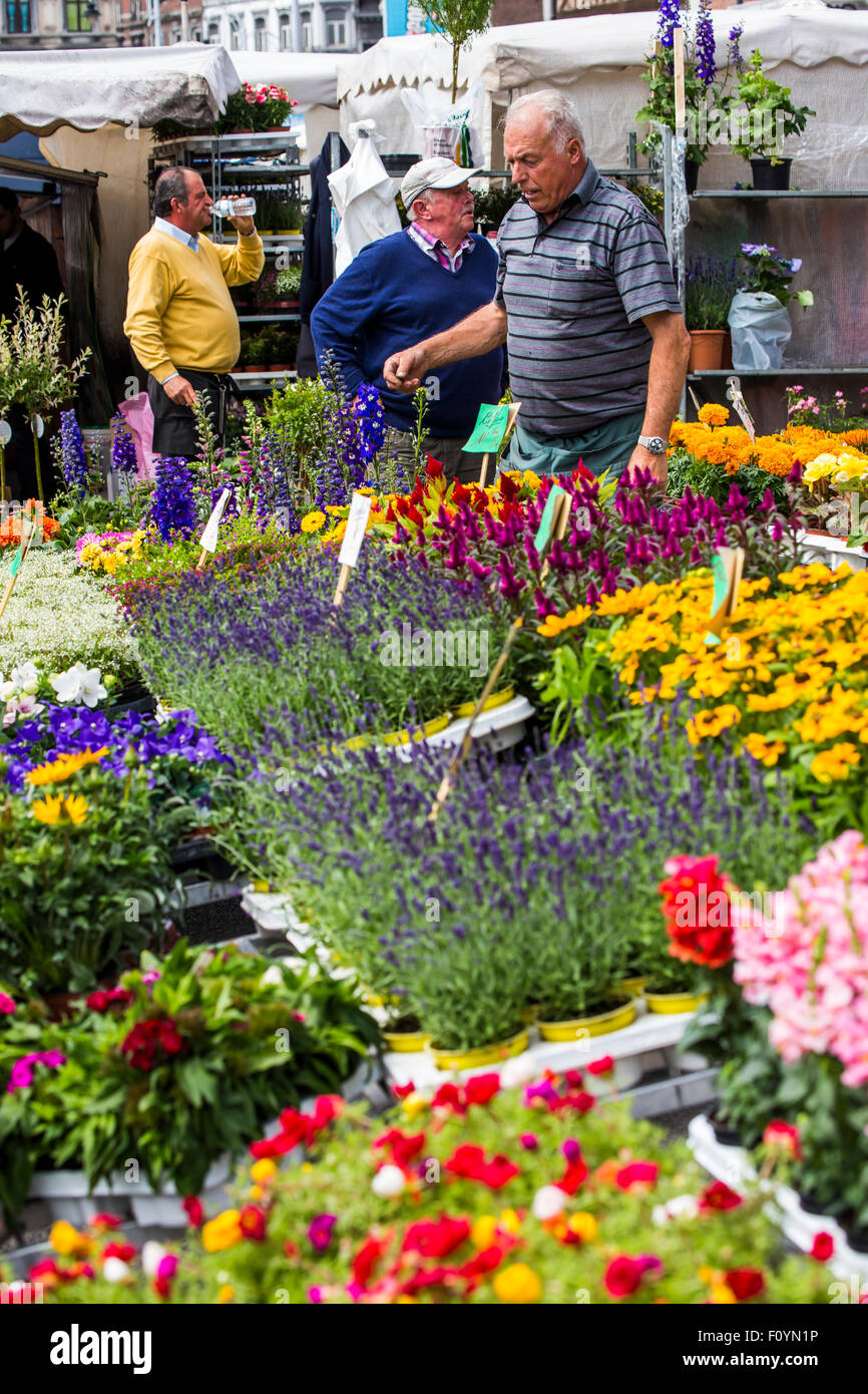 Blume Stände auf dem La Batte Sonntagsmarkt in Lüttich, Belgien Stockfoto
