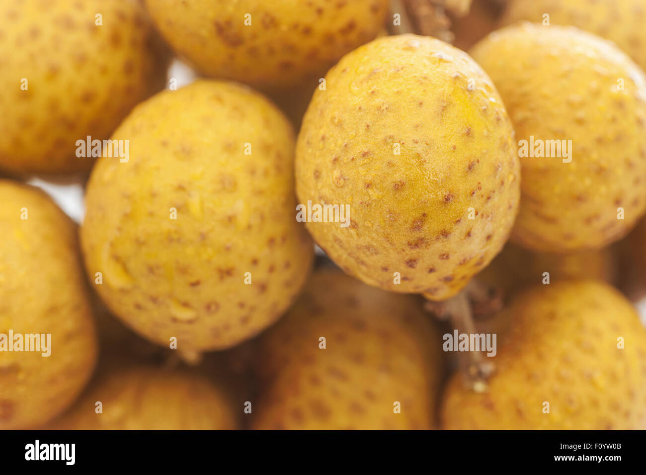 Longan. Frische Longan isoliert auf weißem Hintergrund Stockfoto