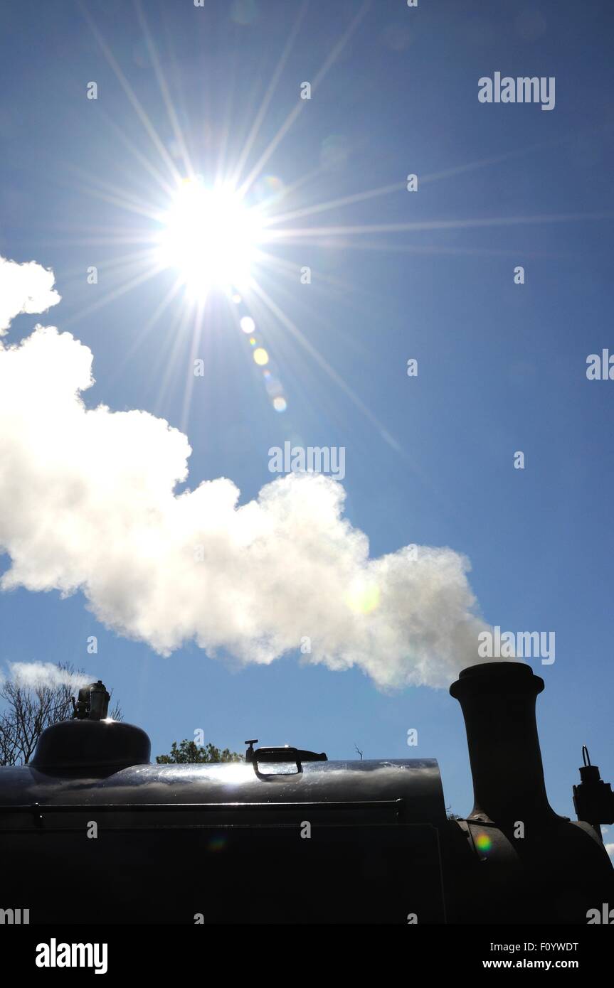 Hunslett Sattel Tank Loco Dampflok brüllen, Dampf, Bahnhof West Railway Station, Leistung, Tagungsräumen, UK. Stockfoto