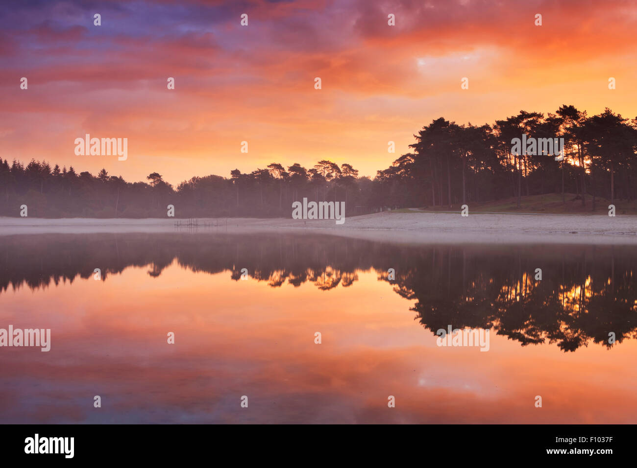 Reflexionen von Sonnenaufgang an einem ruhigen See. Fotografiert an der Henschotermeer in den Niederlanden. Stockfoto