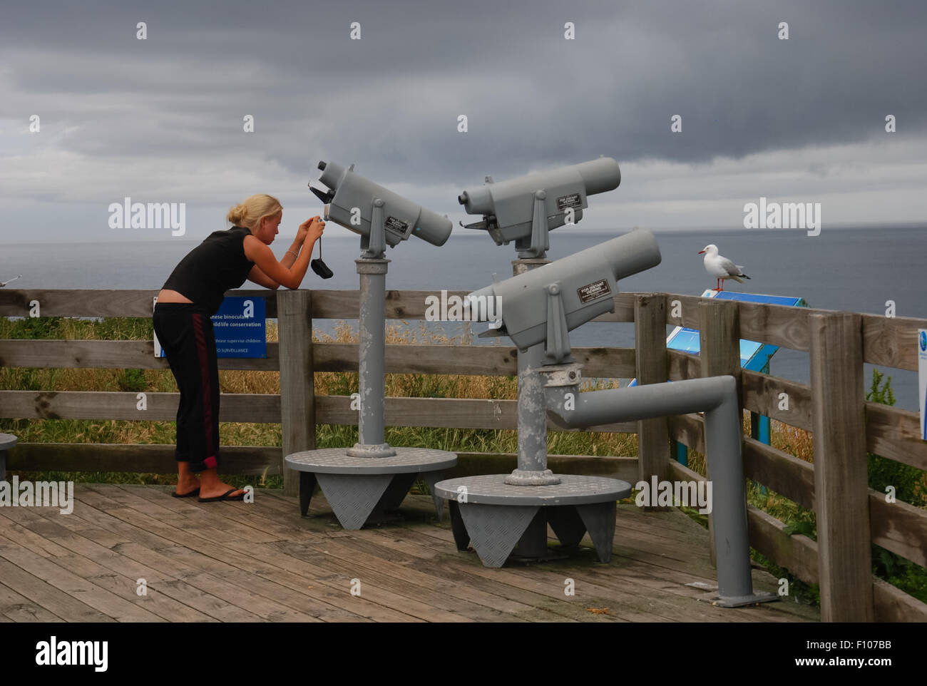 Frau und großen Ferngläsern an anzeigen Spot of The Nobbies, Phillip Island, Victoria, Australien. Stockfoto